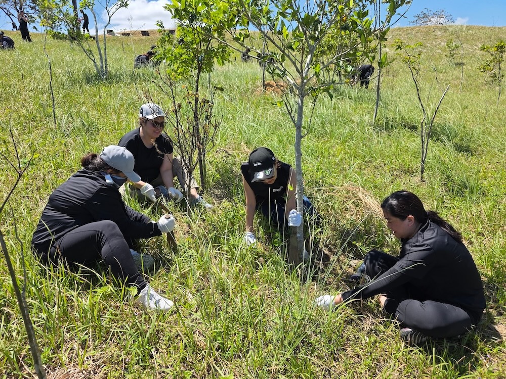 Epson Philippines supports forest restoration in Masungi Georeserve Epson Philippines Masungi